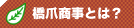 橋爪商事とは？