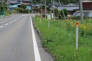 差込式木製デリネーター 国道107号岩手県住田町 世田米中学校付近